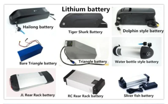 Batterie de puissance de cycle LiFePO4 de support arrière de lithium de phosphate pour le vélo électrique